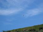 thumbs/IMG_4592.jpg