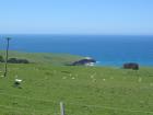 thumbs/IMG_4606.jpg