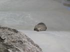 thumbs/IMG_4622.jpg