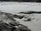 thumbs/IMG_4624.jpg