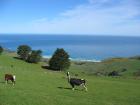 thumbs/IMG_4643.jpg