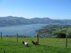 thumbs/IMG_4644.jpg