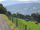 thumbs/IMG_4645.jpg