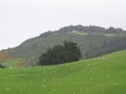 thumbs/IMG_4700.jpg