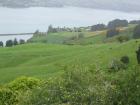 thumbs/IMG_4701.jpg