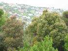 thumbs/IMG_4712.jpg