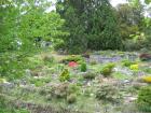 thumbs/IMG_4729.jpg