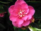 thumbs/IMG_4734.jpg
