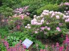 thumbs/IMG_4735.jpg