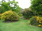thumbs/IMG_4737.jpg