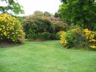 thumbs/IMG_4738.jpg