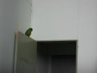 thumbs/IMG_4740.jpg