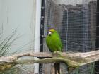thumbs/IMG_4741.jpg