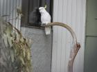 thumbs/IMG_4742.jpg