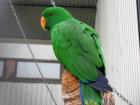 thumbs/IMG_4743.jpg
