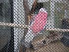 thumbs/IMG_4744.jpg