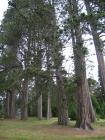 thumbs/IMG_4746.jpg
