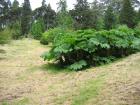 thumbs/IMG_4747.jpg