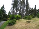 thumbs/IMG_4748.jpg