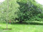 thumbs/IMG_4755.jpg