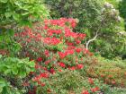 thumbs/IMG_4764.jpg