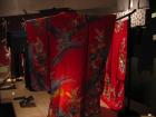 thumbs/IMG_4918.jpg