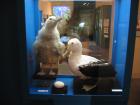 thumbs/IMG_4922.jpg