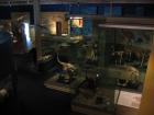 thumbs/IMG_4935.jpg