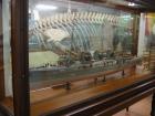 thumbs/IMG_4941.jpg