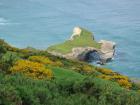 thumbs/IMG_4951.jpg