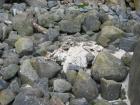 thumbs/IMG_4964.jpg
