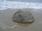 thumbs/IMG_5062.jpg