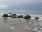 thumbs/IMG_5067.jpg