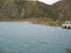 thumbs/IMG_5082.jpg