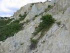 thumbs/IMG_5134.jpg