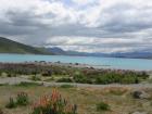 thumbs/IMG_5151.jpg
