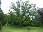 thumbs/IMG_5180.jpg