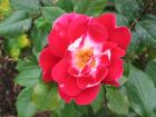 thumbs/IMG_5182.jpg