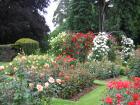thumbs/IMG_5184.jpg