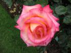 thumbs/IMG_5187.jpg