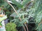 thumbs/IMG_5189.jpg