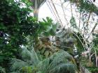thumbs/IMG_5193.jpg