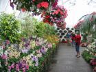 thumbs/IMG_5194.jpg