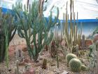 thumbs/IMG_5195.jpg