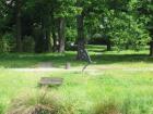 thumbs/IMG_5204.jpg
