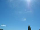 thumbs/IMG_5208.jpg