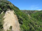 thumbs/IMG_5217.jpg