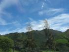 thumbs/IMG_5222.jpg