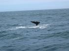 thumbs/IMG_5240.jpg