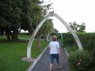 thumbs/IMG_5254.jpg